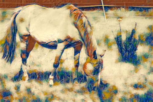 photo of horse converted to Cezanne painting