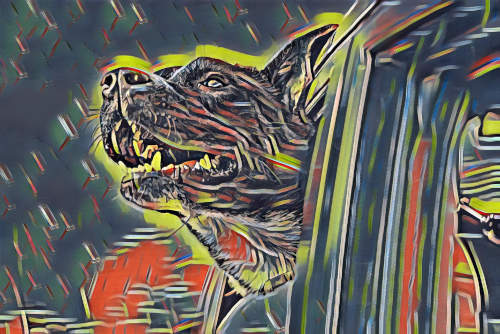 dog in picasso style