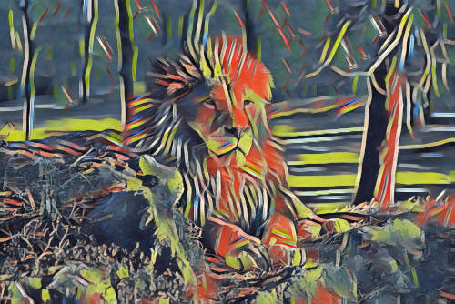 lion photo turned into picasso painting