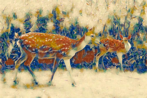 pic of two deer made into Cezanne painting