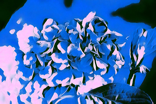 flowers turned into blue art