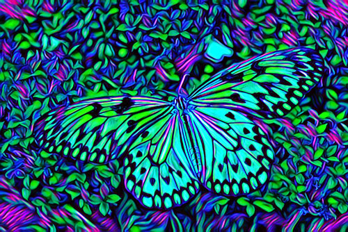 butterfly photo turned into psychedelic art