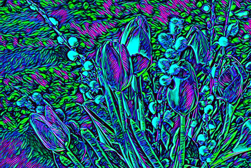 tulip picture made into art