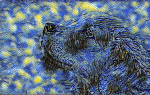 dog photo turned into starry night painting